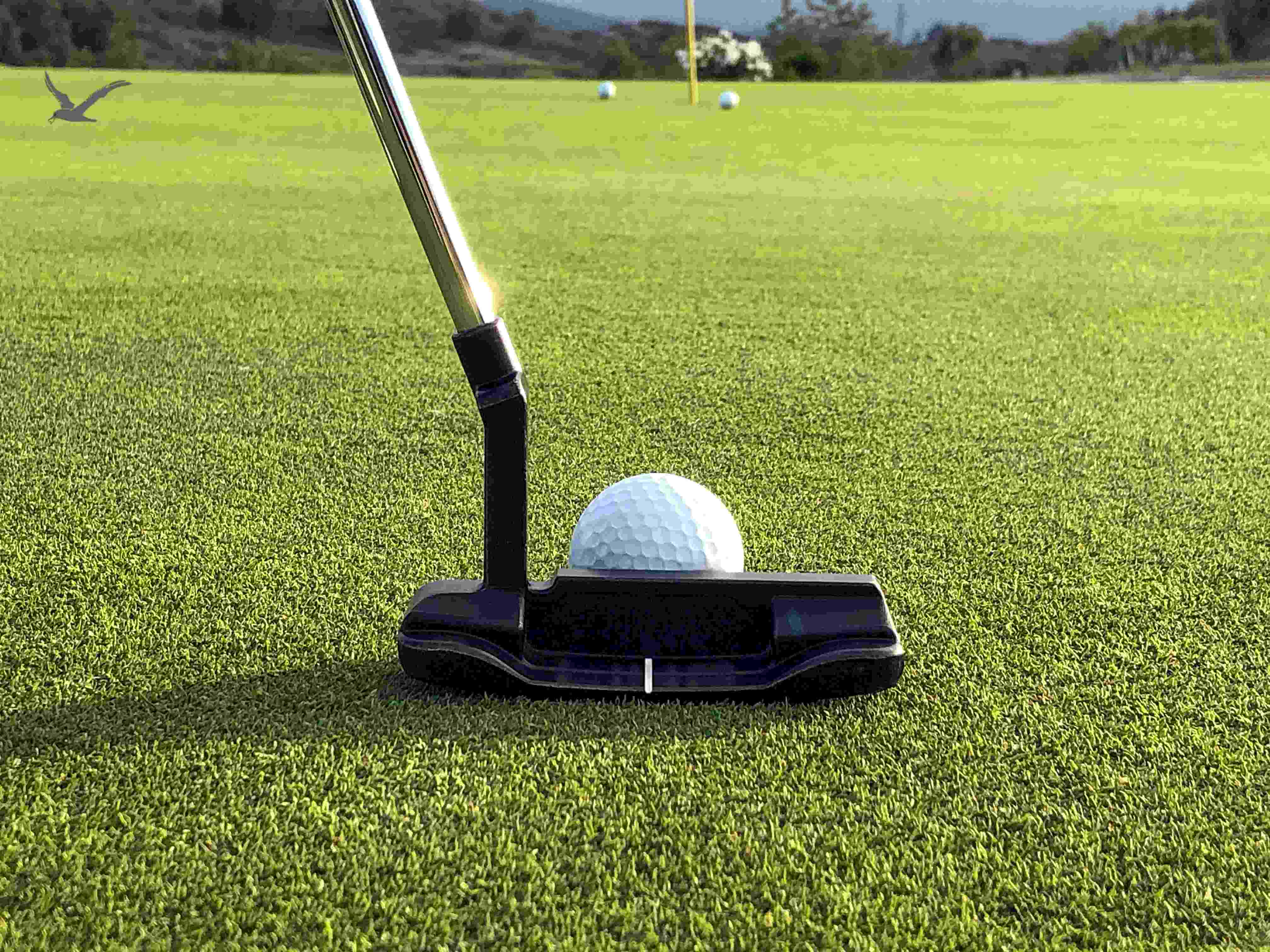 The Truth About Putting: What Really Works?